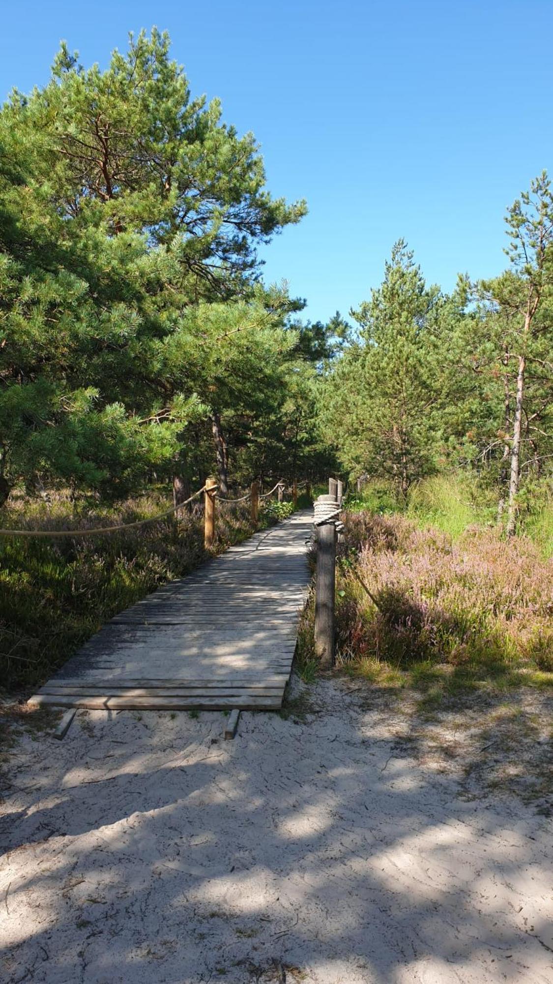 Slowinskie Widoki Domki Flora, Fauna, Noclegi Смолдзінські-Ляс Екстер'єр фото