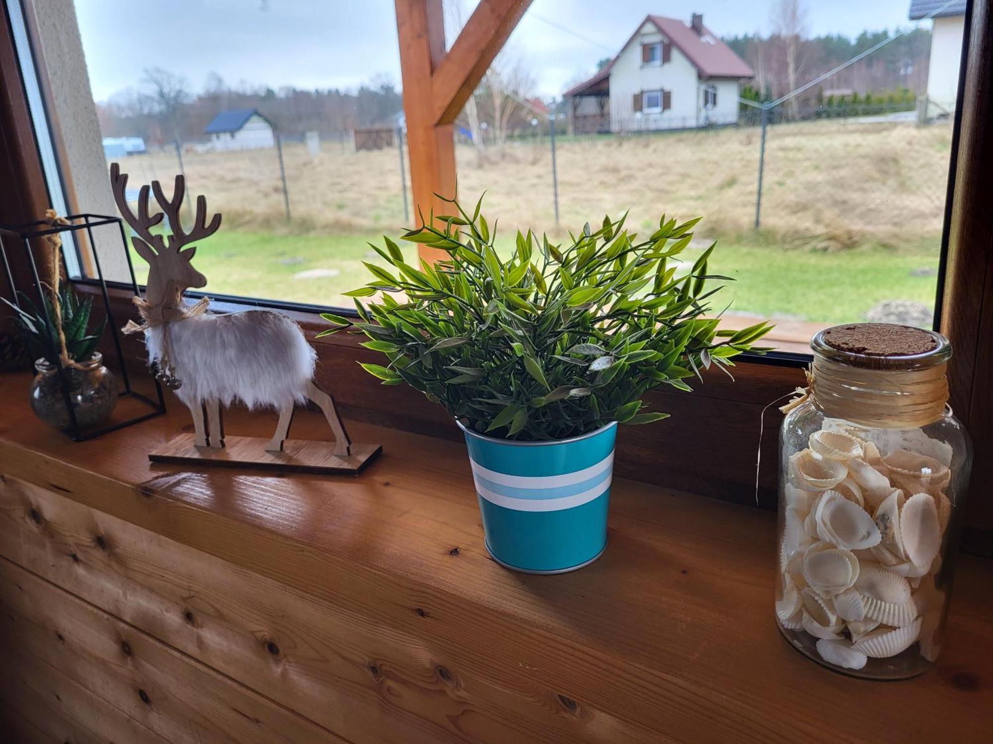 Slowinskie Widoki Domki Flora, Fauna, Noclegi Смолдзінські-Ляс Екстер'єр фото